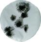 Preview: Barett   BW schneetarn
